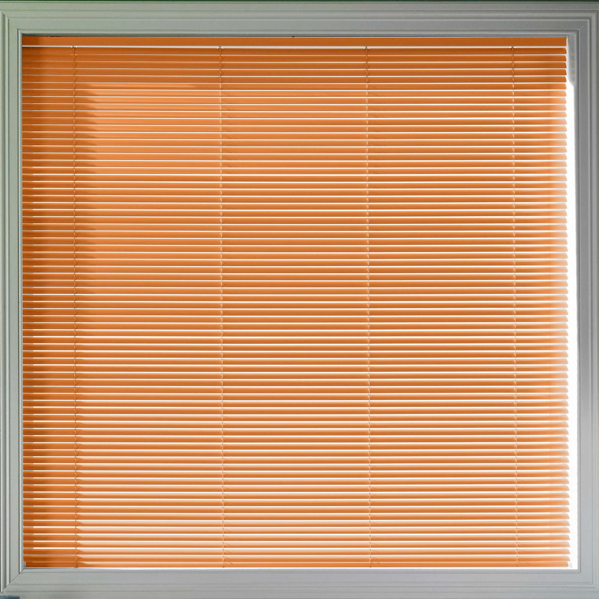 Sample - Energy 25mm - Blinds4All.co.uk