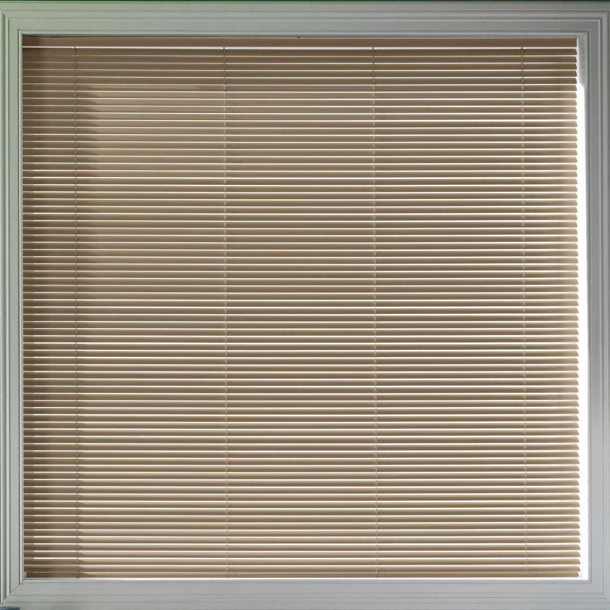 Sample - Glam 25mm - Blinds4All.co.uk