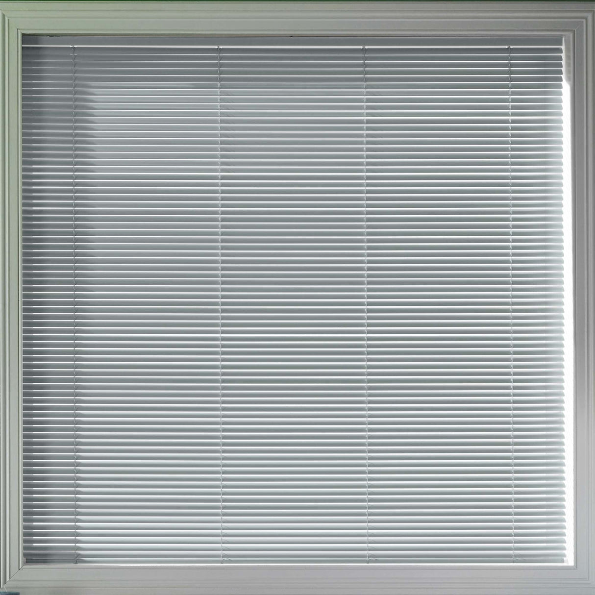 Sample - Gloss 25mm - Blinds4All.co.uk