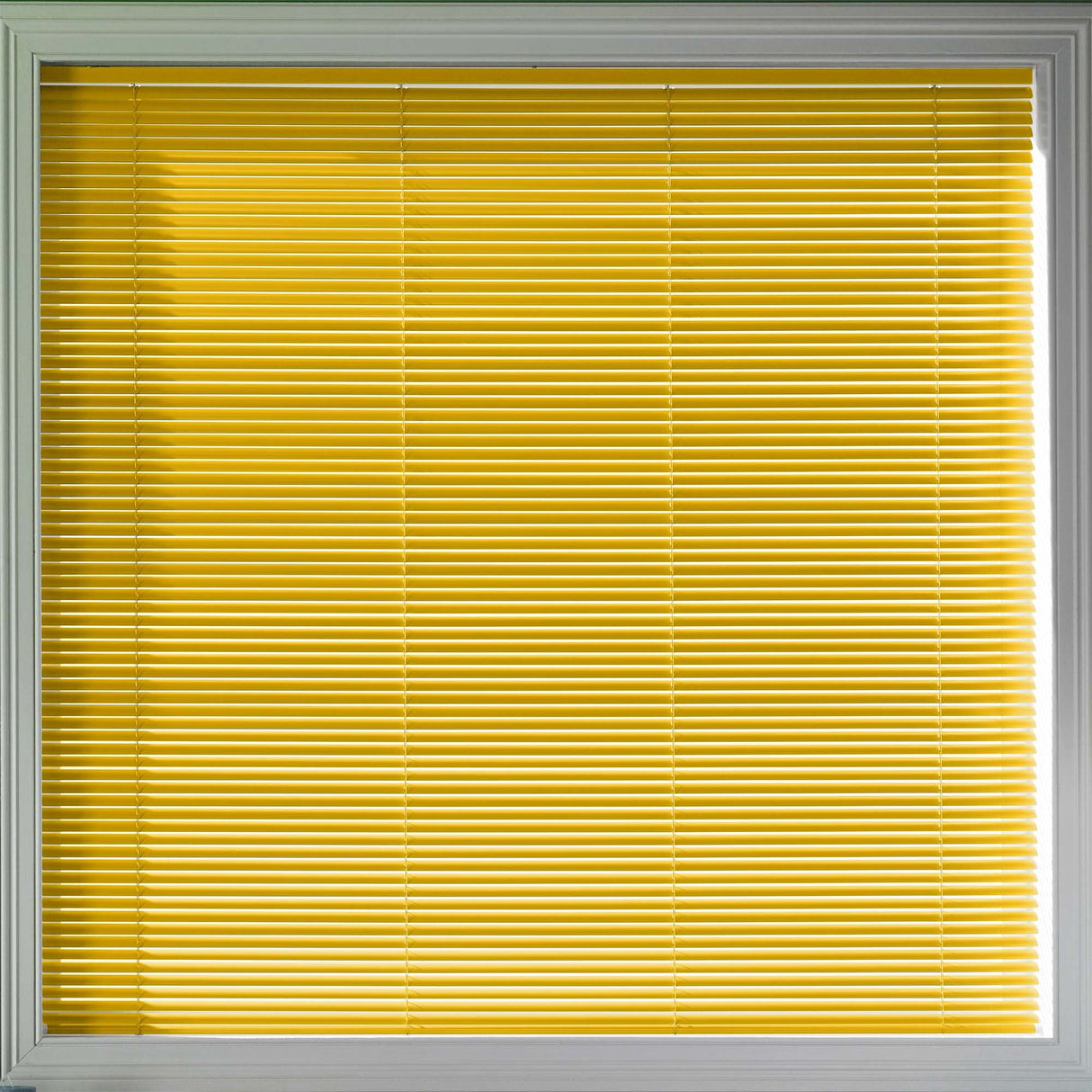 Sample - Glow 25mm - Blinds4All.co.uk