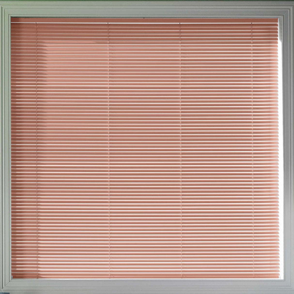 Sample - Latino 25mm - Blinds4All.co.uk