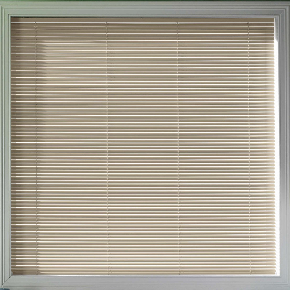 Sample - Luster 25mm - Blinds4All.co.uk