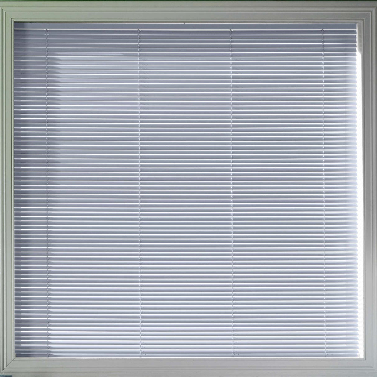 Sample - Truth 25mm - Blinds4All.co.uk