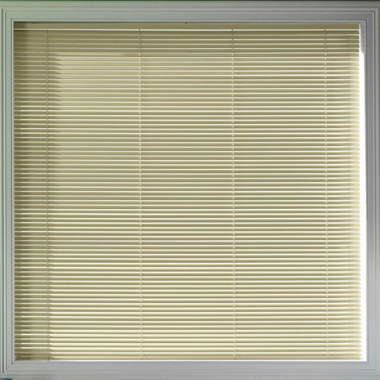 Sample - Vibe Yellow 25mm - Blinds4All.co.uk