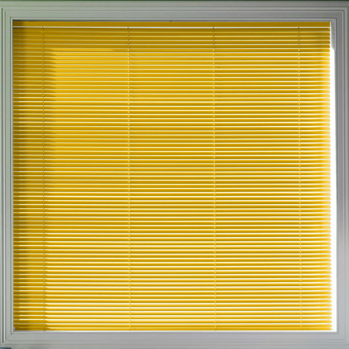 Glow 25mm - Blinds4All.co.uk