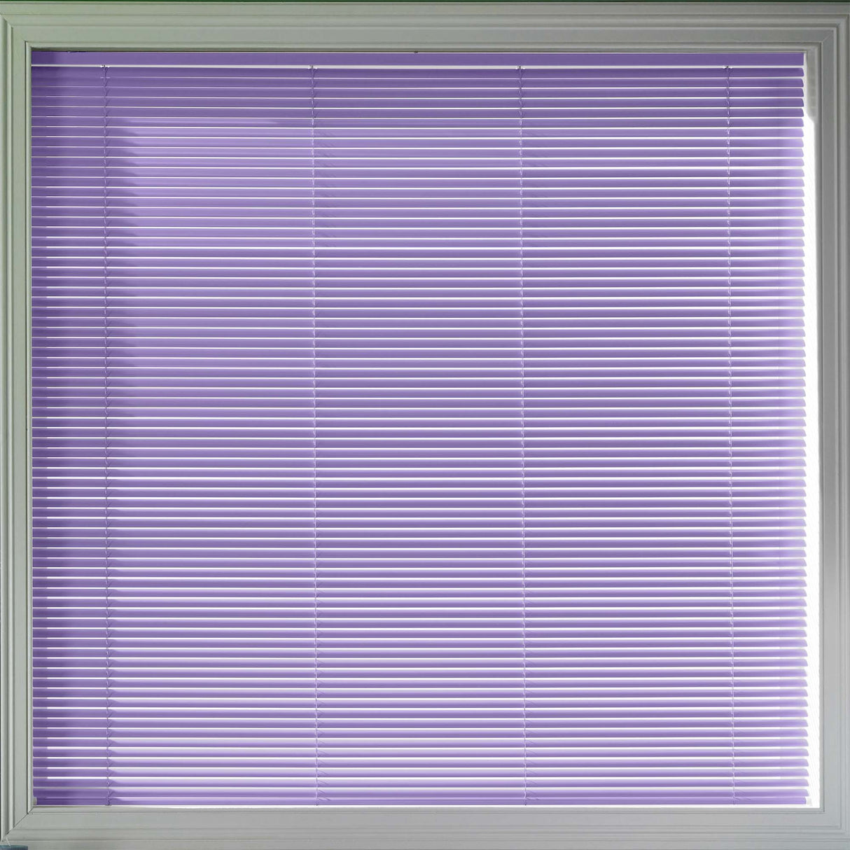 Majestic 25mm - Blinds4All.co.uk