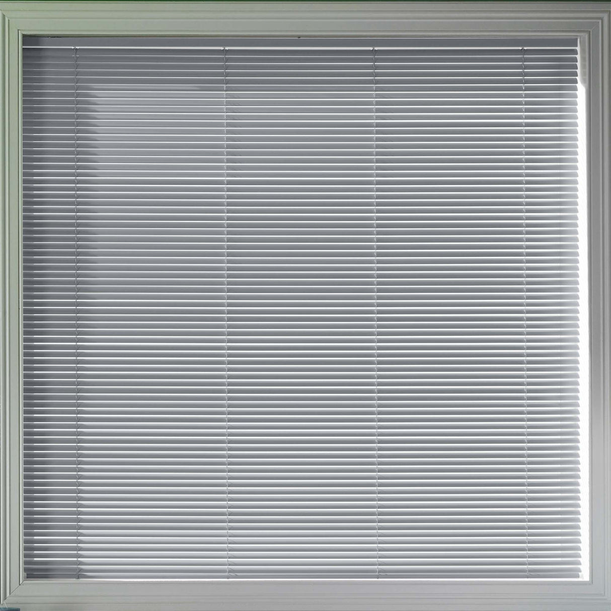 Matt 25mm - Blinds4All.co.uk