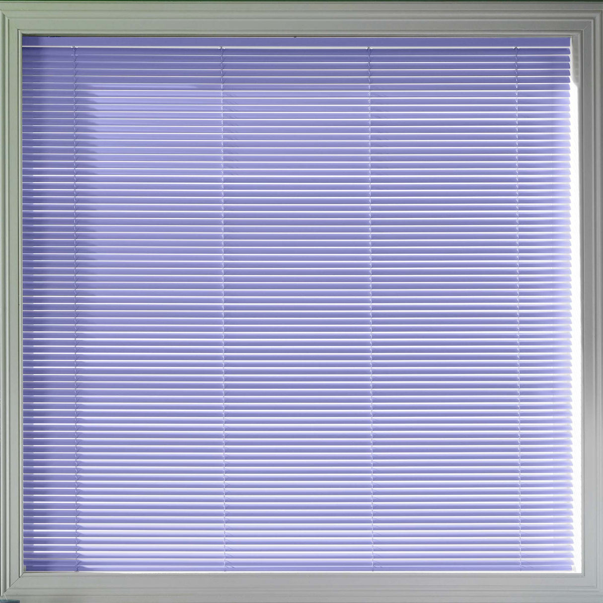 Shelby 25mm - Blinds4All.co.uk