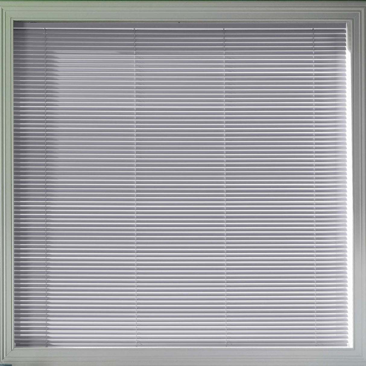 Umbra 25mm - Blinds4All.co.uk