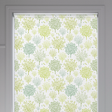 Ashdown Elder Roller Blind