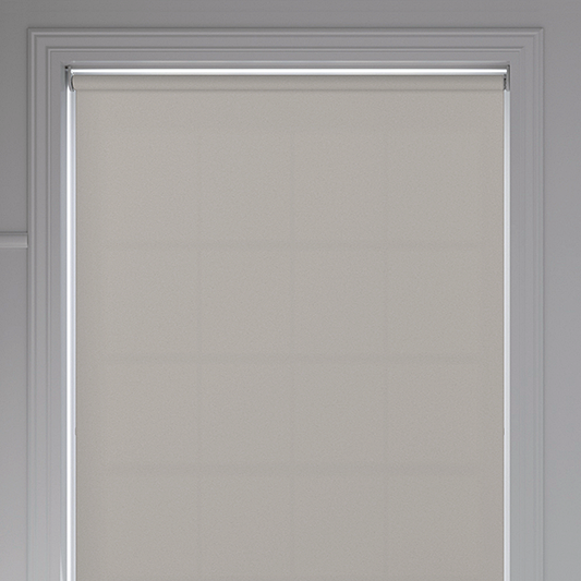 Banlight Duo FR Silver Roller Blind