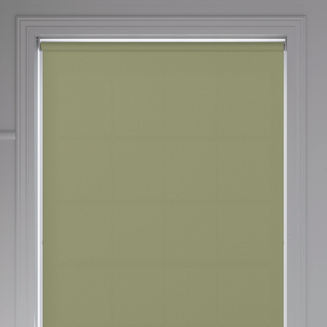 Banlight Duo FR Green Roller Blind