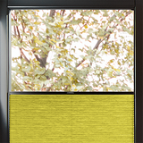 Duette® MultiFit Sample - Dim Out Day Spring - Blinds4All.co.uk