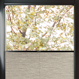 Duette® MultiFit Sample - Dim Out Scallop - Blinds4All.co.uk