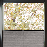 Duette® MultiFit Sample - Dim Out Elephant - Blinds4All.co.uk