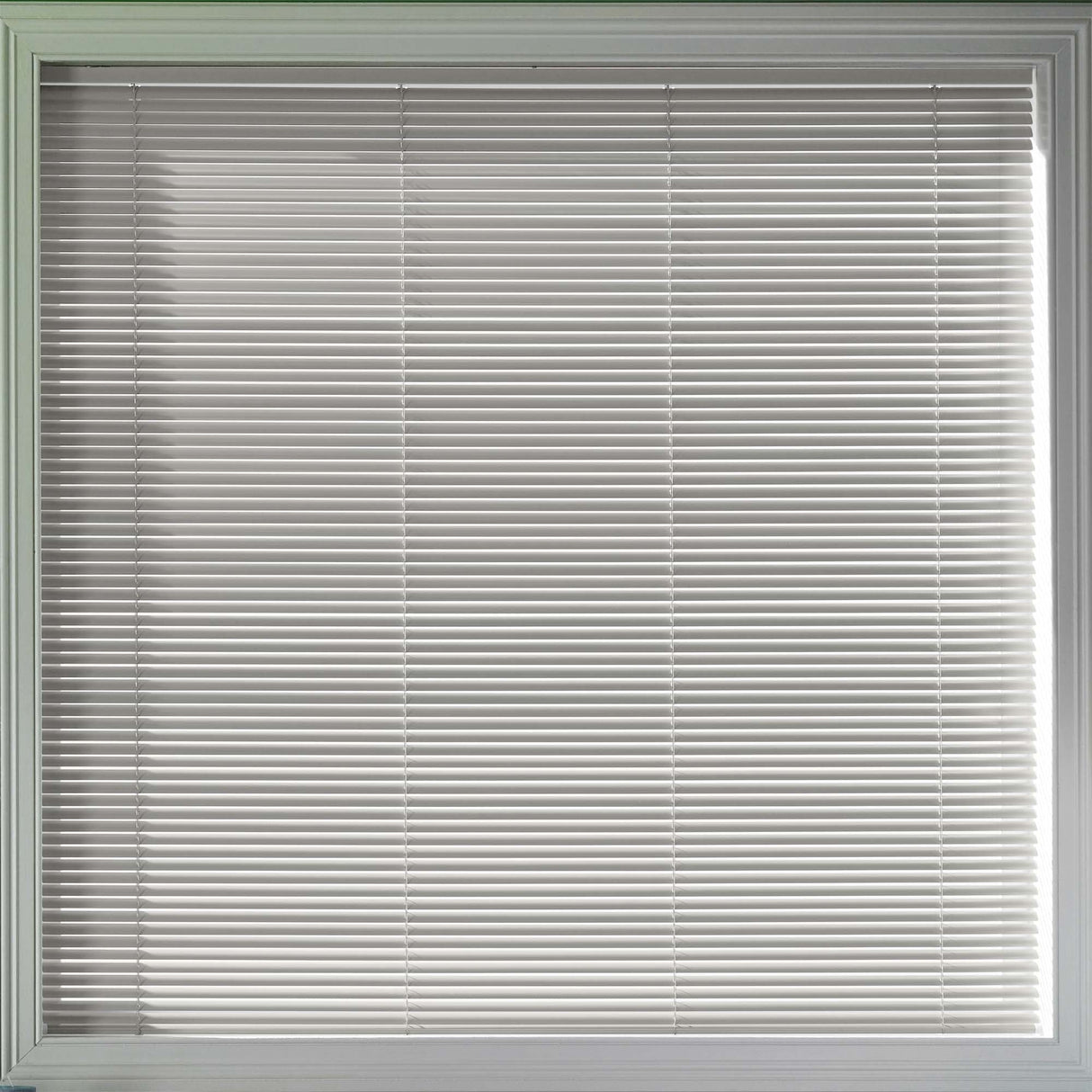 Sample - Echo 25mm - Blinds4All.co.uk