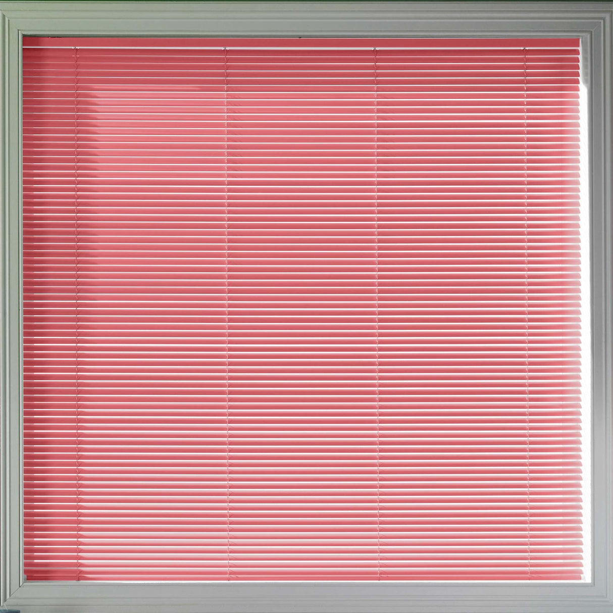 Sample - Primary Red 25mm - Blinds4All.co.uk